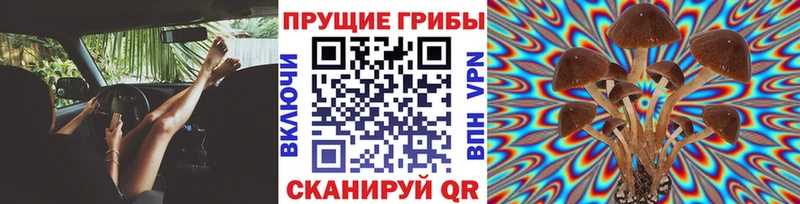 Галлюциногенные грибы GOLDEN TEACHER Емва